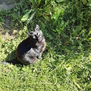 Meet your Posher, Nick